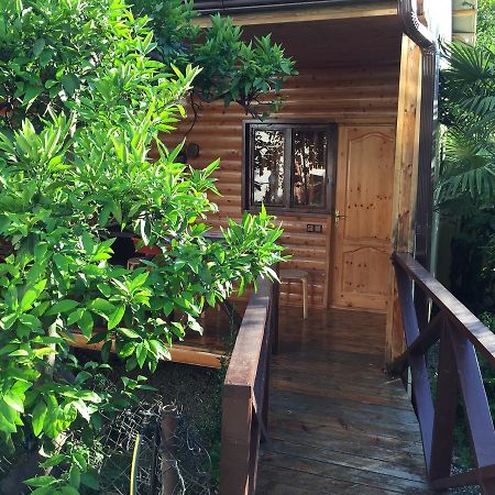 Guest House Nana Gagra Buitenkant foto