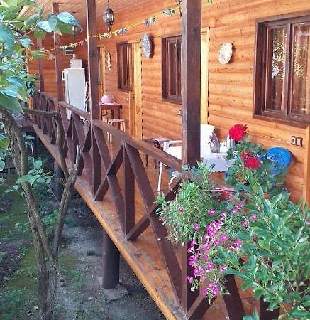 Guest House Nana Gagra Buitenkant foto