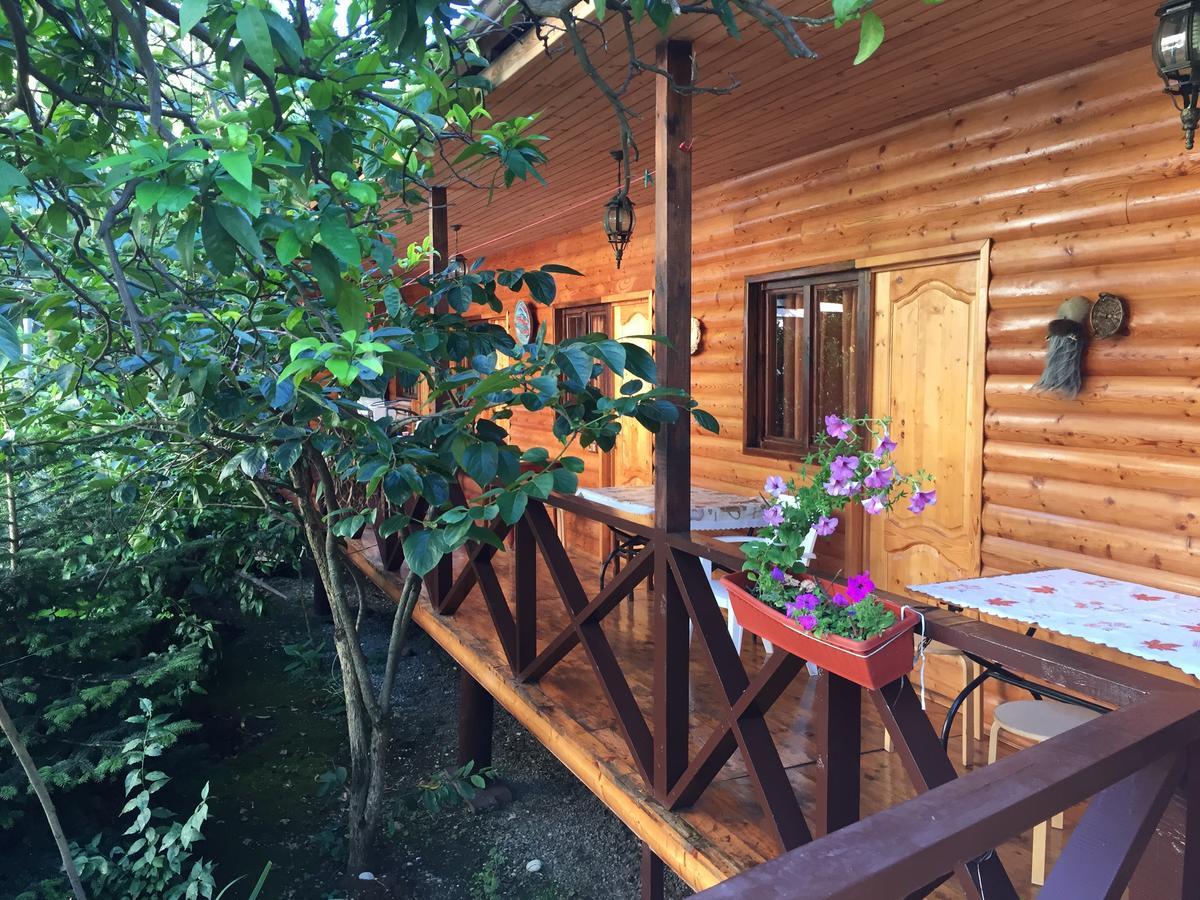 Guest House Nana Gagra Buitenkant foto