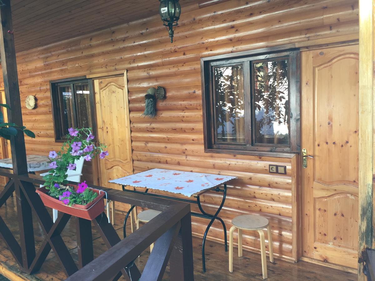 Guest House Nana Gagra Buitenkant foto