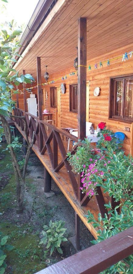 Guest House Nana Gagra Buitenkant foto